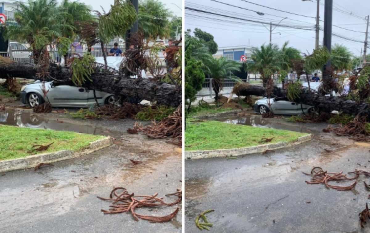 chuvas vitória da conquista 3