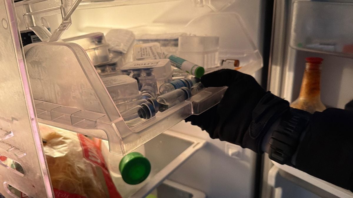 Megaoperação contra venda de canetas emagrecedoras