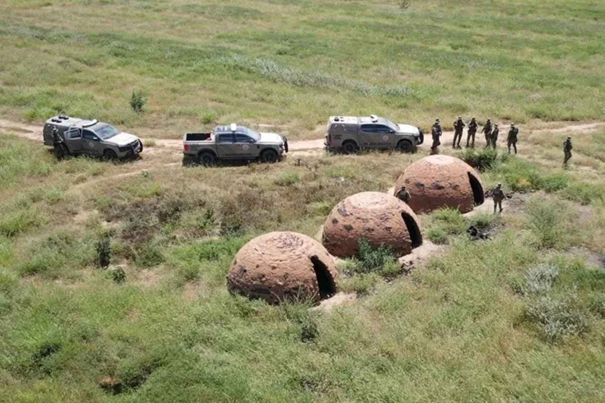 32 toneladas de carvão e 75 metros cúbicos de madeira nativa são apreendidos em Palmas de Monte Alto