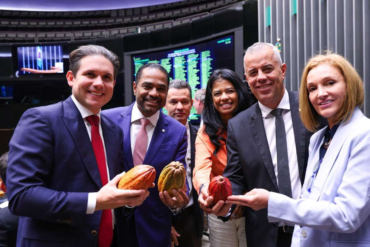 Câmara aprova PDL que protege a produção nacional de cacau