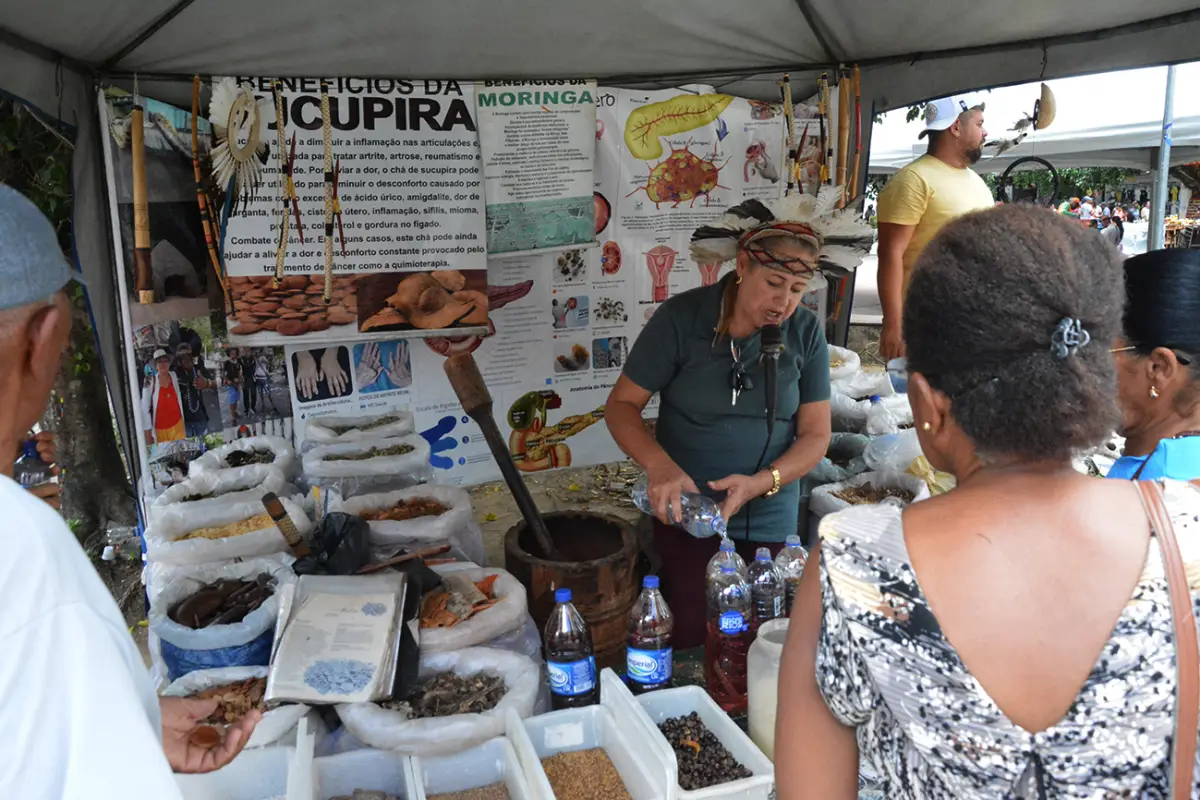 Medicina popular resiste ao tempo e segue presente em Feira de Santana com raizeiros e curandeiros