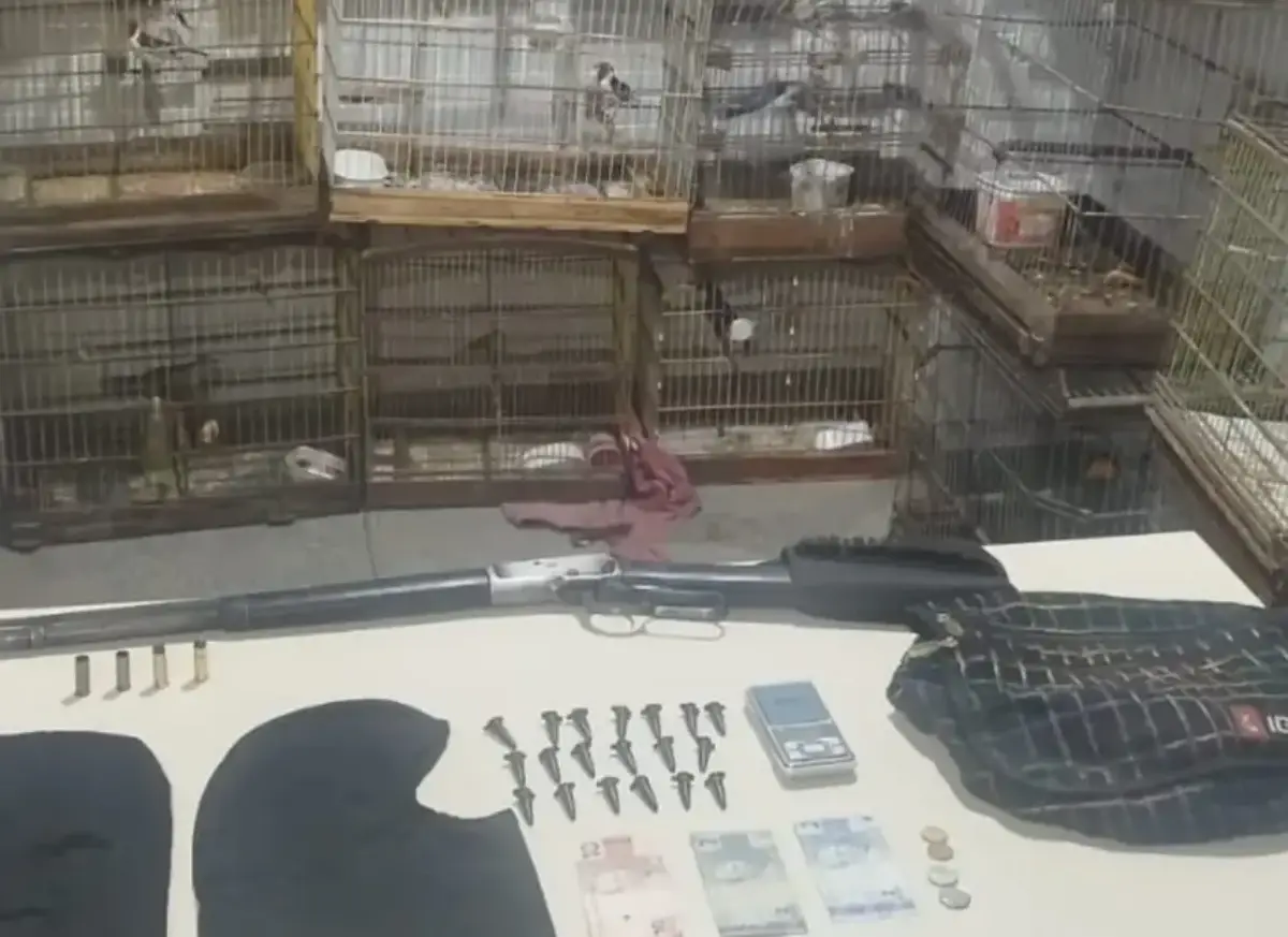 Operação da PM apreende arma de uso restrito, drogas e resgata aves silvestres em Jeremoabo