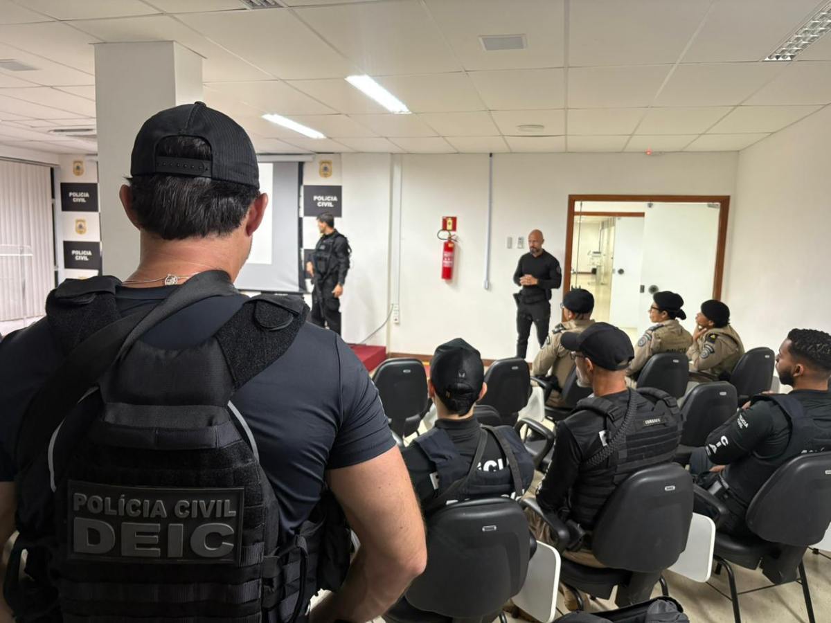 Operação Protetor das Divisas