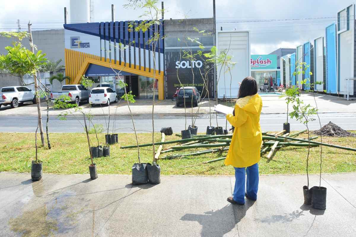 arboziração na noide