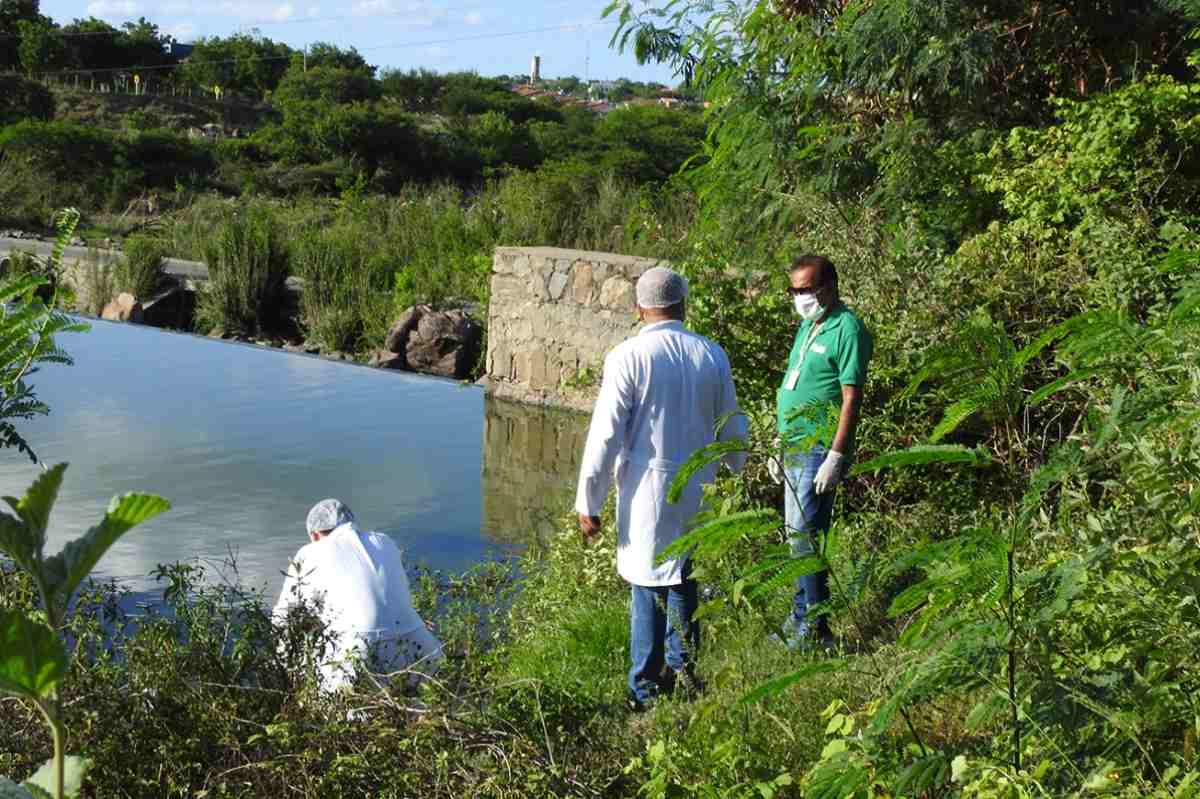 Investigação não aponta causa para mortandade de peixes na Barragem de Jaguara