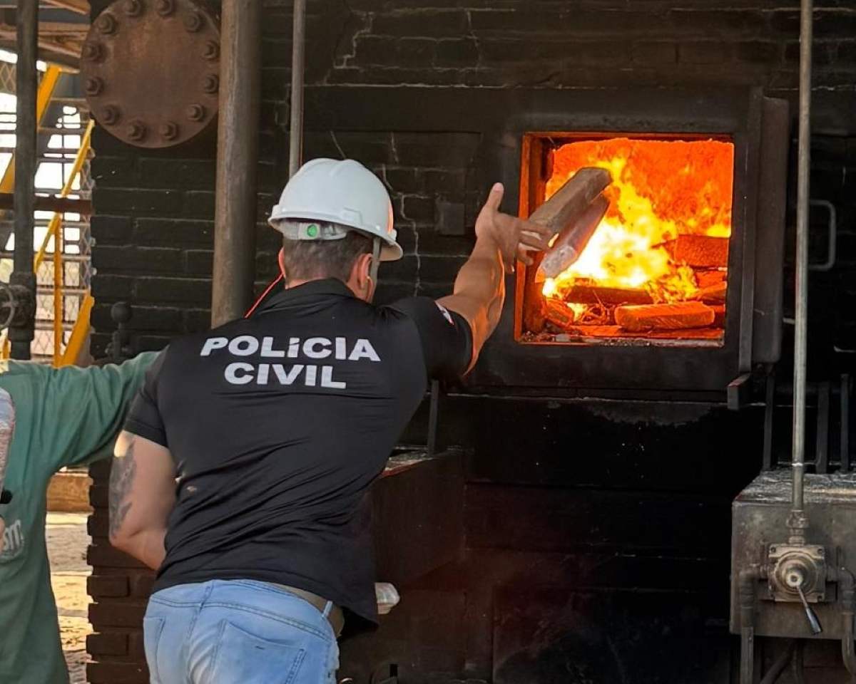 incineração