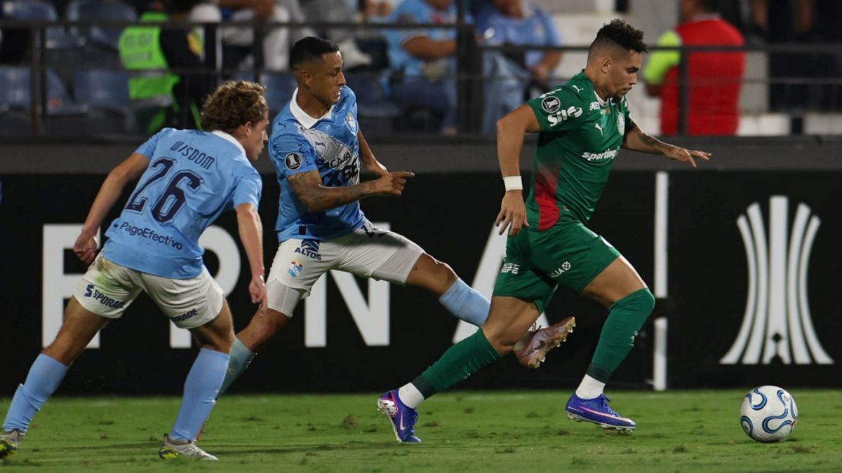 Palmeiras