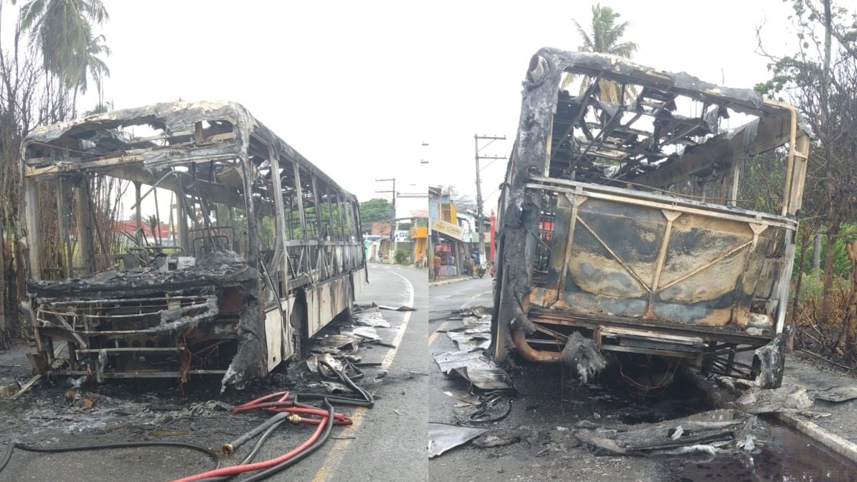 ônibus