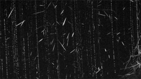 Chuva de meteoros vista em 2023 Chuva de meteoros vista em 2023