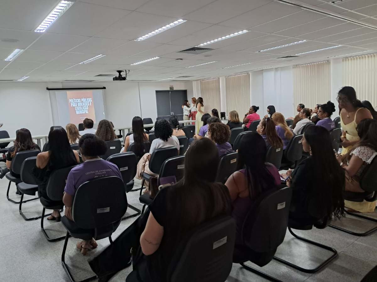 Secretaria da Mulher realiza seminário sobre atendimento a vítimas de violência na área da saúde