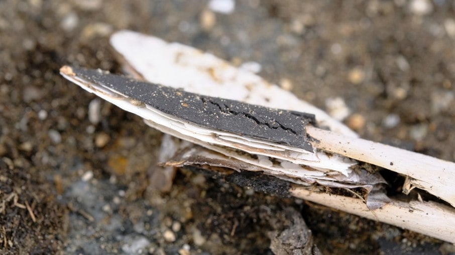 Gelo preserva flechas de até 6 mil anos encontradas por arqueólogos em uma descoberta que atravessou milhares de anos - Imagem: Divulgação/Frys film, governo de Innlandet, Secrets of the Ice Gelo preserva flechas de até 6 mil anos encontradas por arqueólogos em uma descoberta que atravessou milhares de anos - Imagem: Divulgação/Frys film, governo de Innlandet, Secrets of the Ice