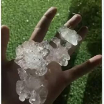 Cidade no extremo sul da Bahia é atingida por chuva de granizo; árvores foram derrubadas pelo temporal