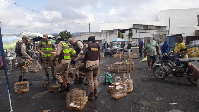 Foto: Divulgação/Polícia Militar