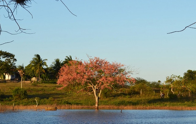 Palestras e ações socioambientais abrem Semana do Meio Ambiente