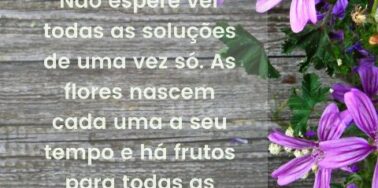 Tudo tem seu tempo