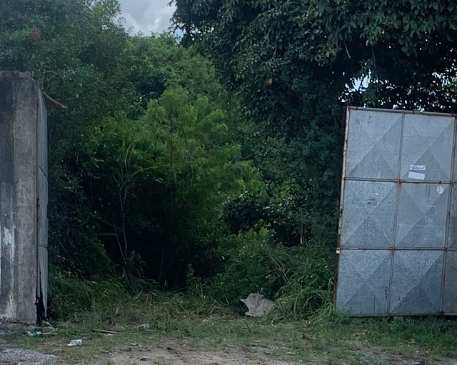 Ossada humana é encontrada em galpão de transportadora no bairro Brasília