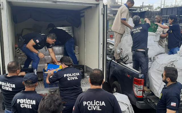 Feira de Santana envia 2,5 toneladas de drogas para incineração em operação; Bahia passou de 5 toneladas apreendidas