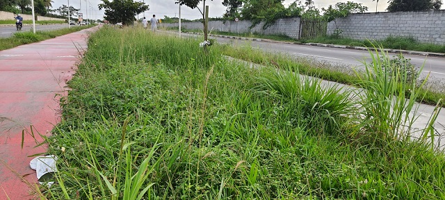 Moradores pedem capinação e limpeza da Avenida Fraga Maia