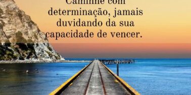 Persistir é uma das condições da vitória