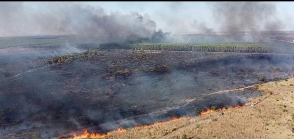 incêndio em vegetação em Luis Eduardo Magalhãe 6