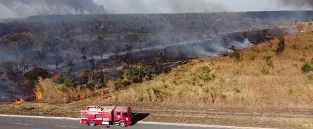 incêndio em vegetação em Luis Eduardo Magalhãe 6