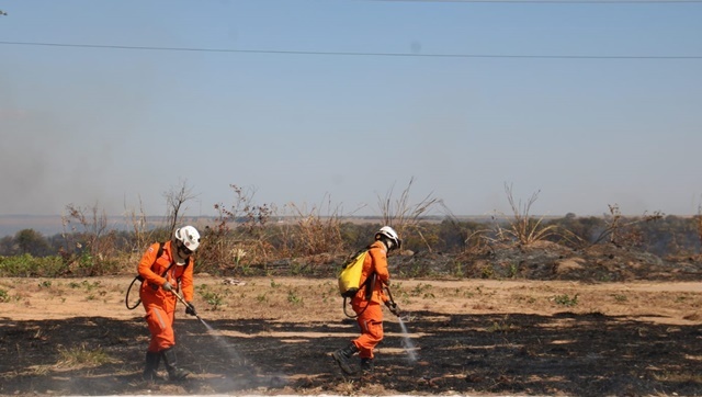 incêndio em vegetação em Luis Eduardo Magalhãe 6