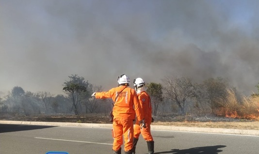 incêndio em vegetação em Luis Eduardo Magalhãe 6