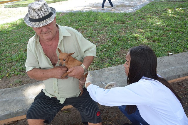 VACINACAO DE CAES E GATOS