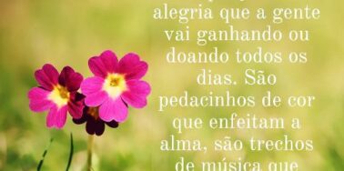 Pequenos milagres