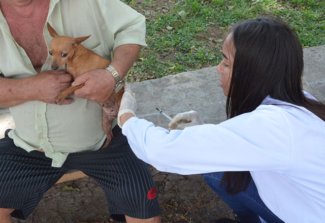 vacinação de cães e gatos f