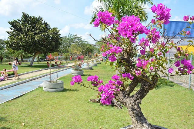 Ambiente agradável do Parque da Lagoa dá as boas-vindas à Primavera