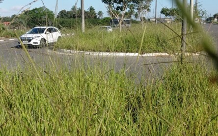 Foto: Ed Santos/ Acorda Cidade
