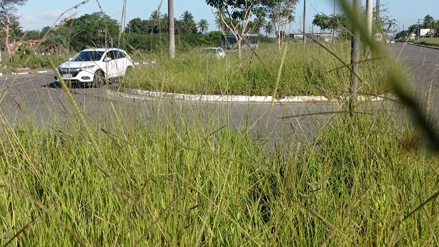 Foto: Ed Santos/ Acorda Cidade