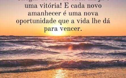 Cada dia é uma nova vitória