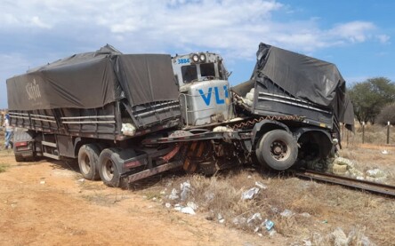 Foto: Lay Amorim/Achei Sudoeste