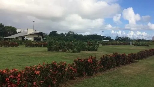 Mulher morre após ser atingida por peça de guindaste em Salvador