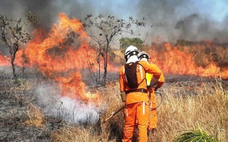 Incêndios florestais na Bahia
