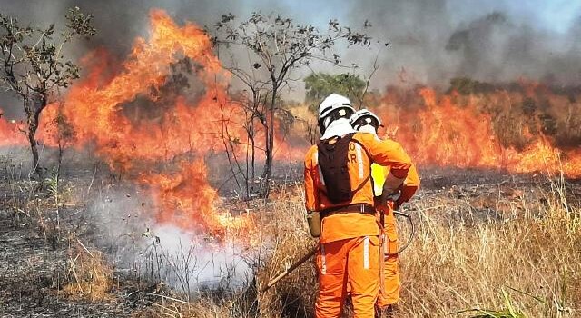 Incêndios florestais na Bahia
