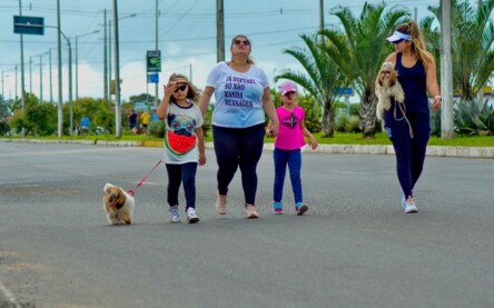 Dia de Lazer