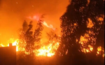 Foto: WhatsApp/Achei Sudoeste