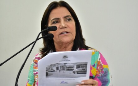 Foto: Mario Neto / ASCOM-CMFS Foto: Mario Neto / ASCOM-CMFS