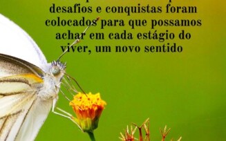 mensagem de relexão - 1