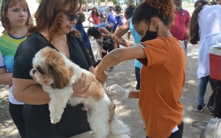 Mais de 51 mil cães e gatos foram vacinados contra a raiva em Feira
