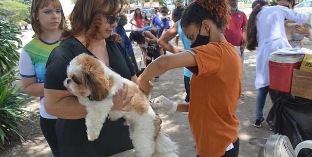 Mais de 51 mil cães e gatos foram vacinados contra a raiva em Feira