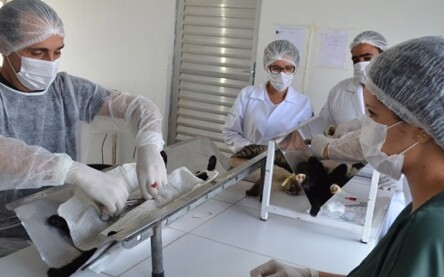 Centro de Zoonoses atende temporariamente por novo número