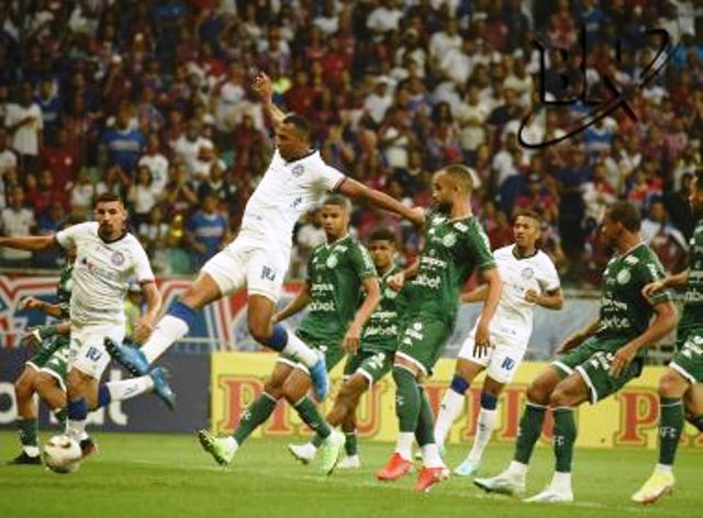 Foto: Enaldo Pinto / Ag. Haack / Bahia Notícias