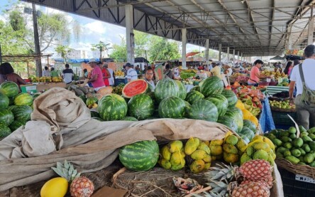 Foto: Paulo José/Acorda Cidade