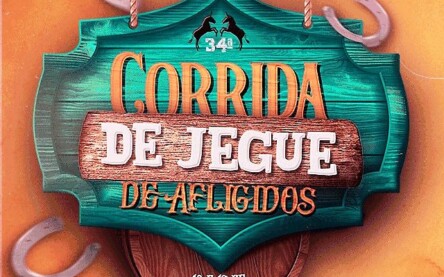 corrida de jegue são gonçalo dos campos