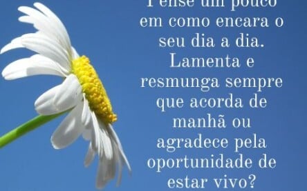 Cópia de mensagem de reflexão  - 1