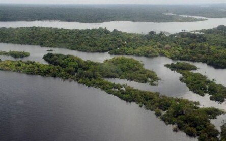 Amazônia